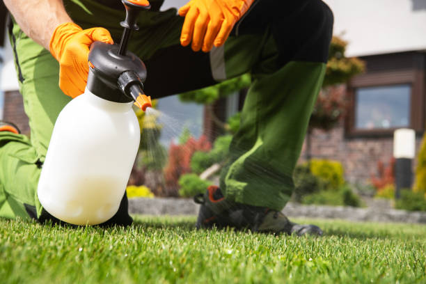 Best Exterminator Services  in Socorro, TX