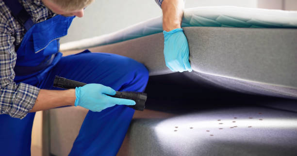 Best Best Pest Control Companies  in Socorro, TX